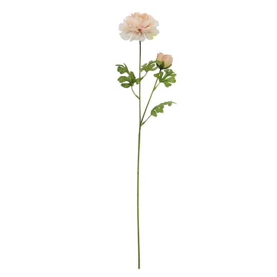Cream Ranunculus Stem by Ashland&#xAE;